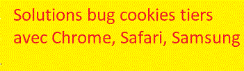 Solutions bug cookies tiers